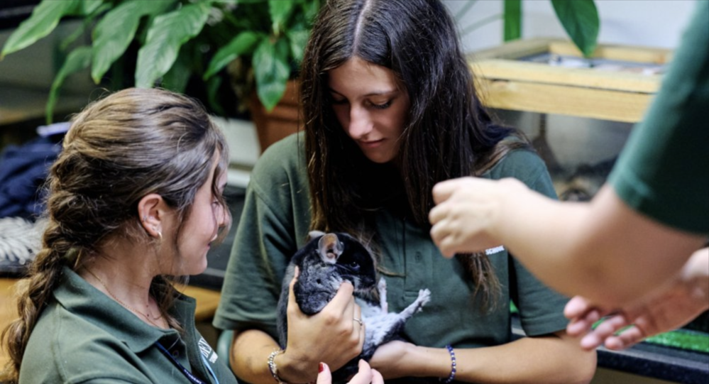 Bedes Summer School Zoology