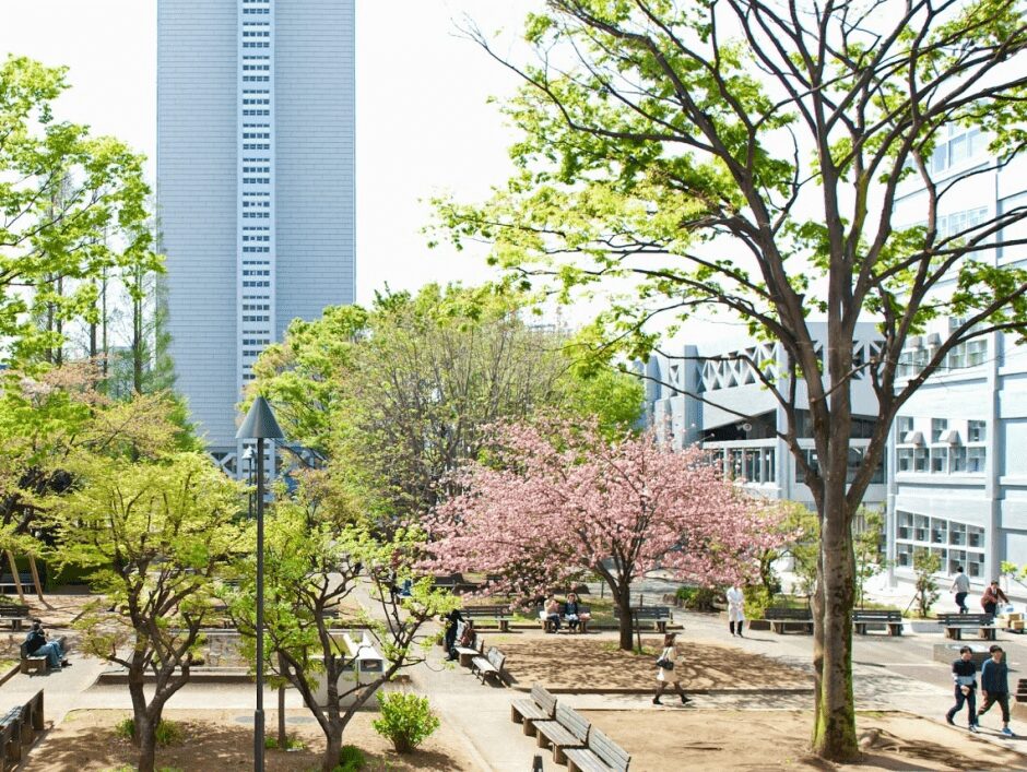 早稲田大学英語学位プログラム