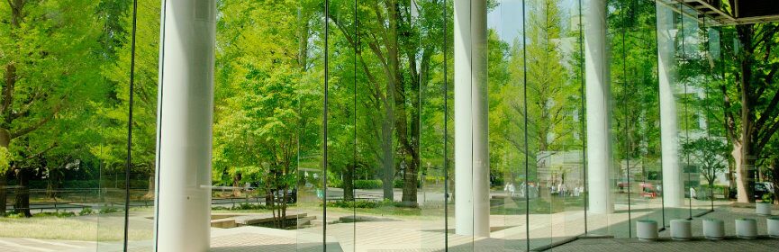 経済の英語学位プログラム③ ｜慶應義塾大学: 経済学部(PEARL) 